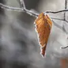frederickorr815 - @frederickorr815 - TikTok
