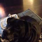 Frederick Pabst - Facebook