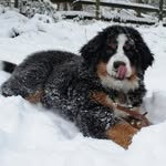 Frederick Page - @frederick_j_page - Instagram