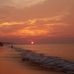 Frederick Palm - Facebook