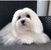 Frederick Paredes - Facebook