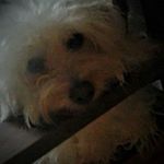 Frederick Paredes - @frederick_paredes - Instagram