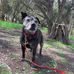 Frederick Baldwin Park - Facebook