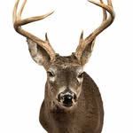 Frederick Parks - @biggamehunter - Instagram