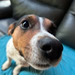 Frederick Patton Abram - @frederickpattonabram - Instagram