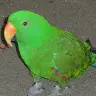 Frederick Peabody - @frederickpeabody7 - TikTok