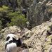 Frederick Peak - Facebook