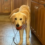 Fredrick Holmes Pendleton - @pishposhpendleton - Instagram