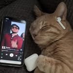 Dr pepper - @frederickpepeer - Instagram