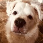 Fredrick Perdue - @mudeki85 - Instagram