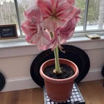 Frederick Phillips - @fhphillips49 - Instagram
