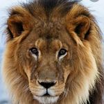Frederick phillips - @frederickphillips4 - Instagram