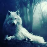 Frederick Ponder - @frederickponder - Instagram