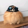 Frederick Poole - @frederickpoole291 - TikTok