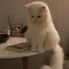 FrederickPotts - @bhykmojhvay - TikTok