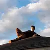 frederickpoulin1 - @frederickpoulin1 - TikTok