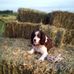 Frederick Presley - Facebook