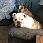 Frederick Jay Quick - @frederickjayquick - Instagram