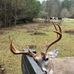 Frederick Quick - Facebook