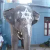 frederickratiney - @frederickratiney - TikTok