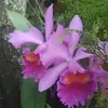 frederickrathweg - @frederickrathweg - TikTok