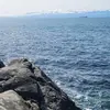 reese_frederick - @reese_frederick - TikTok