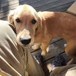 Frederick Roy Attridge - @frederickattridge - Instagram