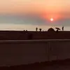 frederick riggs - @ricksantamonica - TikTok
