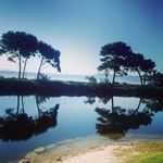 Frederick Romero - @fred_rom_ - Instagram