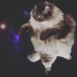 Marcos Luis Ángel Frederick Teodoro Pozdniakova Rosas - @m._pozdniakova - Instagram