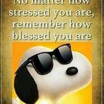Frederick Rush - @frederick.rush.52 - Instagram