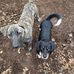 Fred Rutledge - Facebook