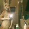 fredericksantos62 - @fredericksantos62 - TikTok