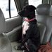 Fred Satterfield - Facebook
