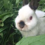 Frederick Da Savage - @frederick_da_savage_nale - Instagram