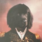 Frederick Savage the Newfie - @thesavagenewfie - Instagram