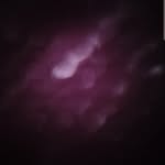 @frederick_schulze - Instagram