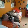 Frederick C Seekins - @frederick.c.seeki - TikTok