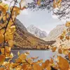 frederickmichaelsee - @frederickmichaelsee - TikTok