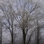 Frederick Sherman - @fredericksherman30 - Instagram
