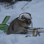 Sherman Frederick - @fredericksherman - Instagram