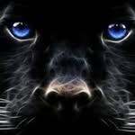 Thomas Sherman - @fredericksherman31 - Instagram