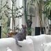 Frederic Siegrist - Facebook