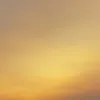 Fredrick Sim - @2163876201 - TikTok
