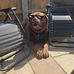 Fred Simpson - Facebook
