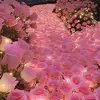 Frederick Small - @frederick.small - TikTok