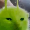 gato alien - @frederick.solis43 - TikTok
