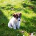 Frederick Stanford - Facebook