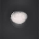Frederick Stark - @tolucalectora - Instagram