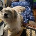 Fred Sterling - Facebook